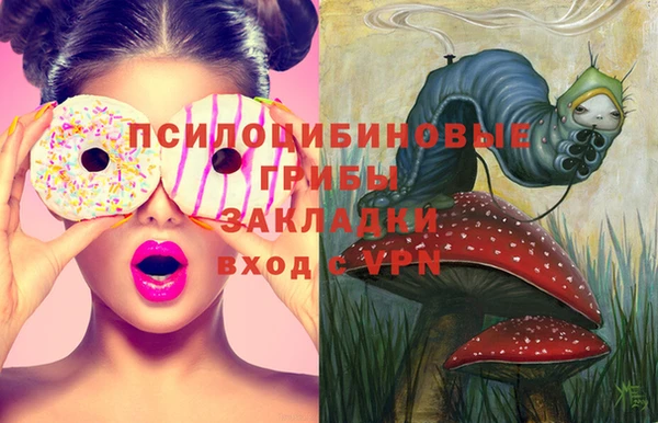 кокс Арсеньев