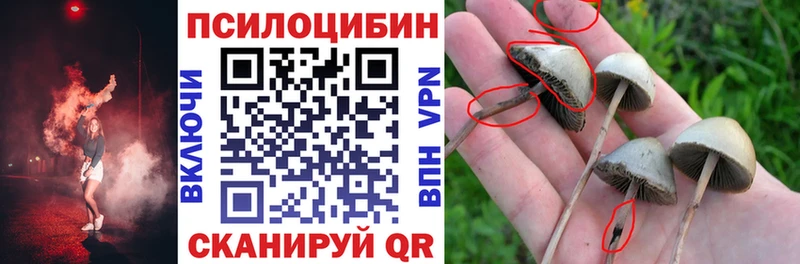 Галлюциногенные грибы Magic Shrooms Рассказово